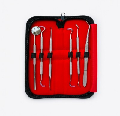 #ad Dental Cleaning Kit Stainless Steel Dentist Tools for Dental Treatment 6 pcs. $13.04