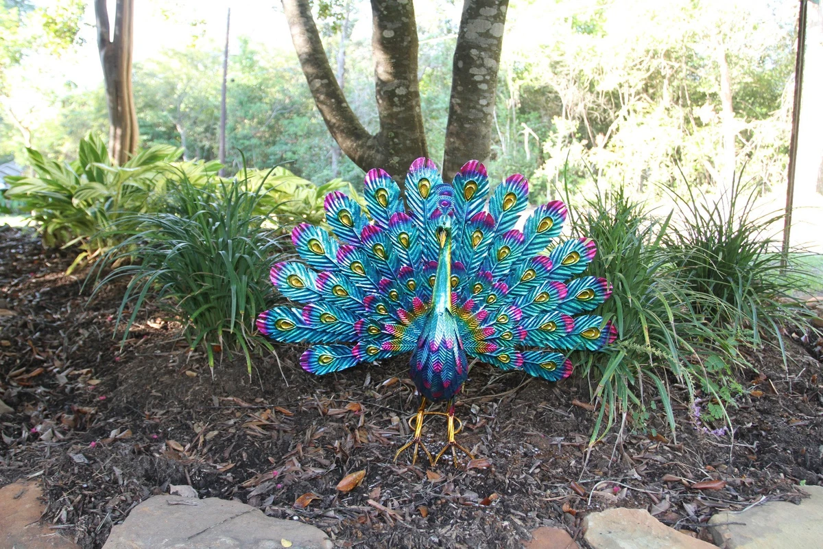 peacock decor products for sale | eBay