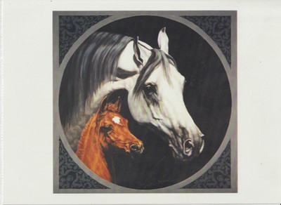 Beautiful Arabian Mare Foal Large Art Horse Postcard Walter Brown Artist