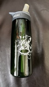 Disney Pixar Camelback Eddy 25oz Water Bottle - Pre Owned