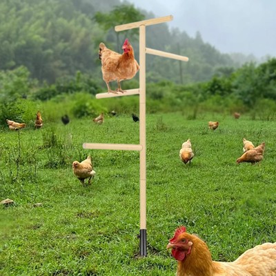 Vogel Sitzstange Ständer stehend Hühner Schlafplatz Outdoor Hühnerstangen Schlafstange