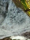Bild 21 von 32