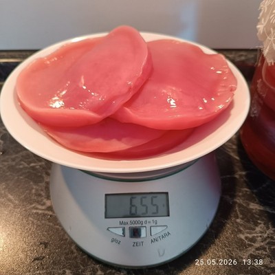Riesiger, aktiver Kombucha-Pilz (SCOBY)   Premium-Qualität (655g & 598g) + Start
