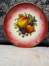 Rare Vintage Mitterteich Apple And Strawberry German Rose Color Plate