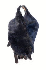 alter Pelzschal / Pelzstola, Kragen, Fuchspelz, dunkelbraun, 50er Jahre