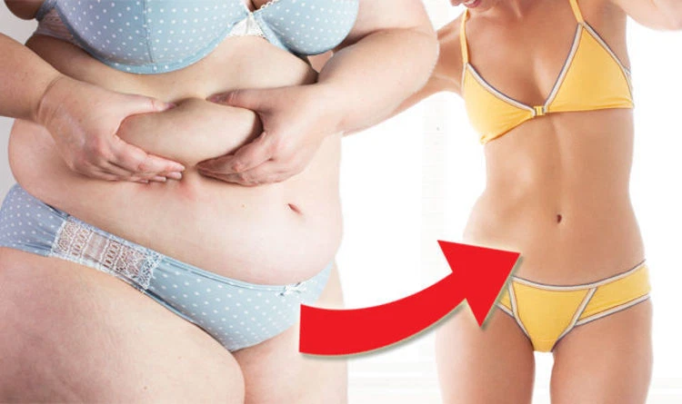 Weight loss pills for women - CLA - Weight Loss - 2 B - CLA omega 6 - Image 4 of 4