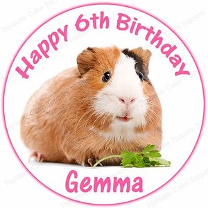 guinea pig cake topper