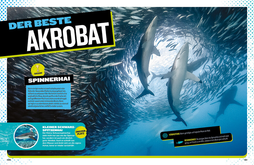 Thumbnail - Brian Skerry Das Ultimative Buch Der Haie