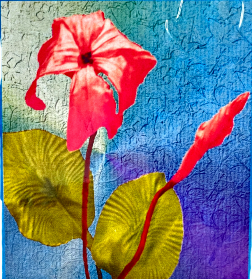 Vintage Silk Ribbon Flower Kit CYCLAMEN Japan Floral Craft Stitchery eBay