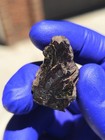 NWA 16774 Pallasite Meteorite 13.419g Endcut Colorful Olivine COA — photo 6