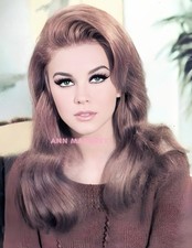 ANN MARGRET #532 BEAUTIFULLY COLORIZED PHOTO 11 X 8.5 FREE SHIPPING