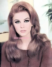 ANN MARGRET #532 BEAUTIFULLY COLORIZED PHOTO 11 X 8.5 FREE SHIPPING