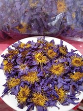 70g Blue Lotus Nymphaea Caerulea Dried Flowers 100 Organic Egyptian Lotus
