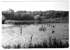 AK, Werder Havel, OT Petzow, Zentrales Pionierlager "Tschoibalsan", Strand, 1977
