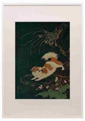 Chen Lin Shen 1427 1509 Modern Pekingese Dogs of China & Japan in Nature & Art