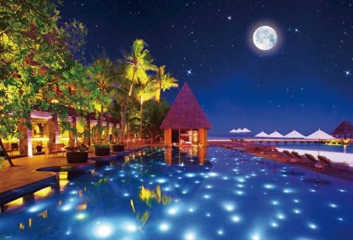 Пазл Starlight Resort 1000шт 49х72см Черный Light Grow Beverley Япония