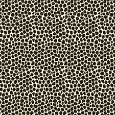 Animal Instinct Frosted Cellophane - 80cm x 80m - Bouquet/Hamper Gift Wrap