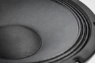 AUTHENTIC Faital Pro 10FE300 10 Midbass 8 Ohm 500 Wts