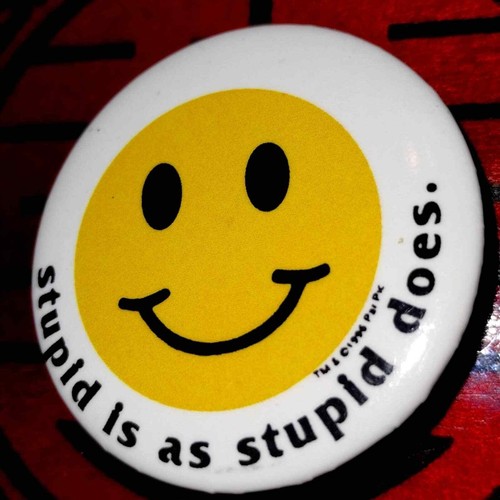 Vintage :-) pinback/stupid is as stupid does!