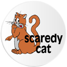Scaredy Cat - 25 Pack Circle Stickers 3 Inch