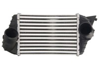 Thermotec DAF009TT LadeluftküHler TurboküHler FüR Stilo 1.9D 10.01-08.08 Fiat