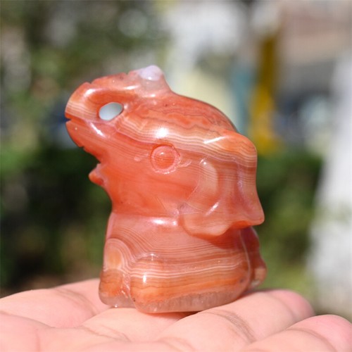 2'' Red agate Elephant hand Carved Natural Reiki Crystal sculpture Decor 1pc - Picture 4 of 14