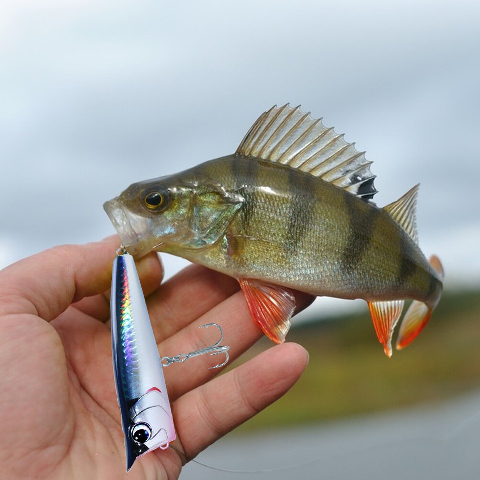 Floating Fishing Lure with Hook Topwater Popper Bait 3D Eyes for Sea