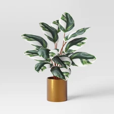 Luxe Maranta Leaf in Gold Pot - Threshold