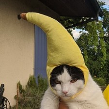 Funny Cute Pet Cat Costume Banana Cap Hat For Dog Halloween Christmas Clothes