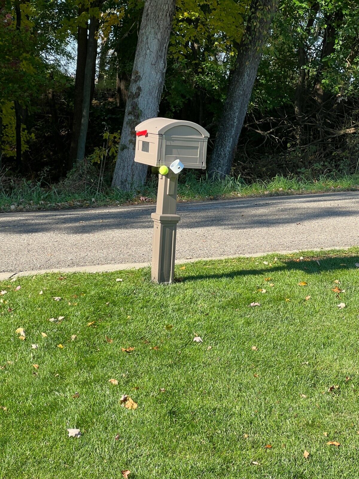 Picture 3 of 7