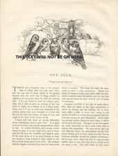 OUR CLUB OWL OWLS THE BROWN OWL CLUB MEMBERS ONLY  c 1893 ART ILLUSTRATION PRINT