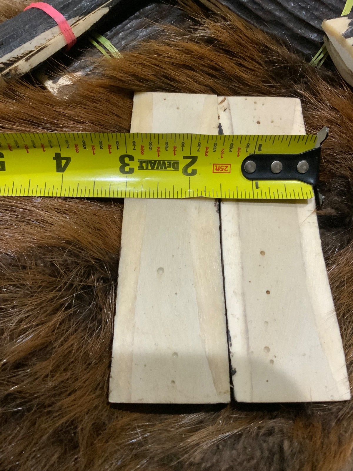 Stag jigged Camel Bone Knife Scales, Amber, knife Making, 2/Set 5” X 1.5” X 3/8”