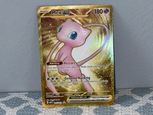 raihan pokemon card Raihan (Secret) - SWSH07: Evolving Skies