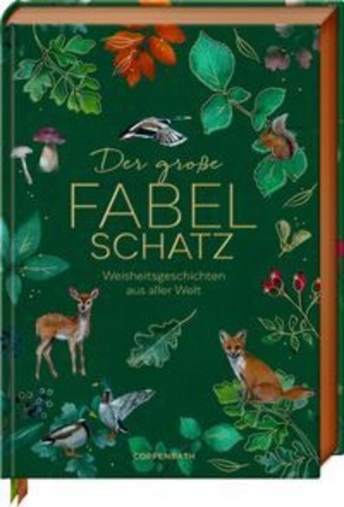 Der große Fabelschatz Coppenrath Verlag Marie zu Dohna