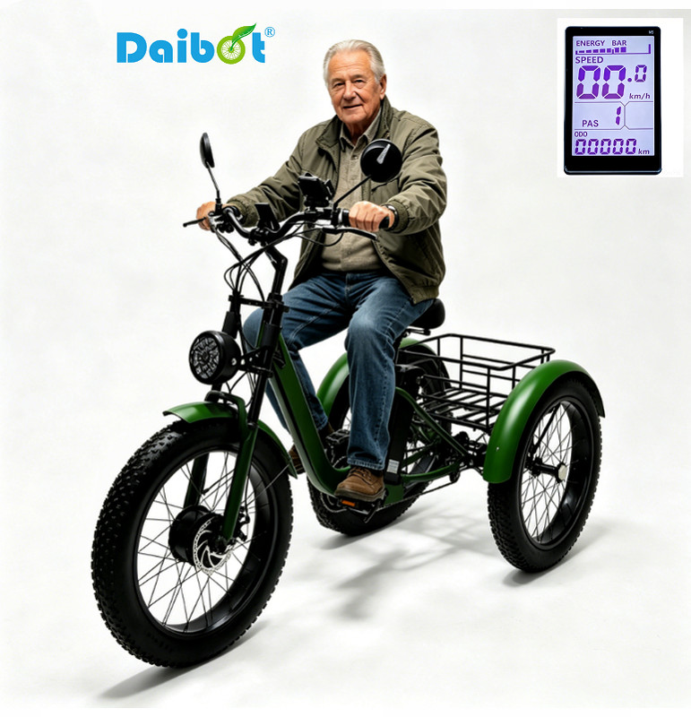 750W 15AH Electric Fat Tire Trike 24 Inch Adult E Bike Off-Road Snow