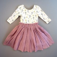 Frozen 2 Long Sleeve Tutu Dress, Elsa, Pink, Layered Tulle Skirt Girls Size 6