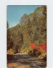 Postcard McKenzie Pass Oregon USA