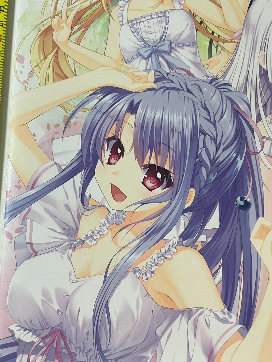 その他 Summer Pockets     VISUAL FAN BOOK rare Summer Pockets official visual fan book visual arts