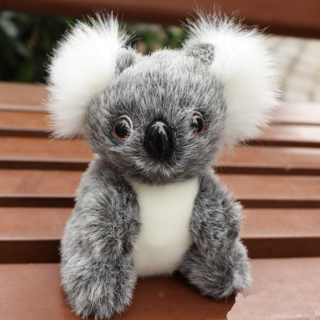16cm Koala Plush Soft Cuddle Buddy Cute Huggable Stuffed Animal Doll Toy | eBay