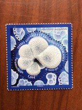 TAAF Yvert Num 804 ** MNH  ANNEE 2017