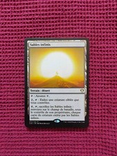 Lot N275 13 cartes magic the
