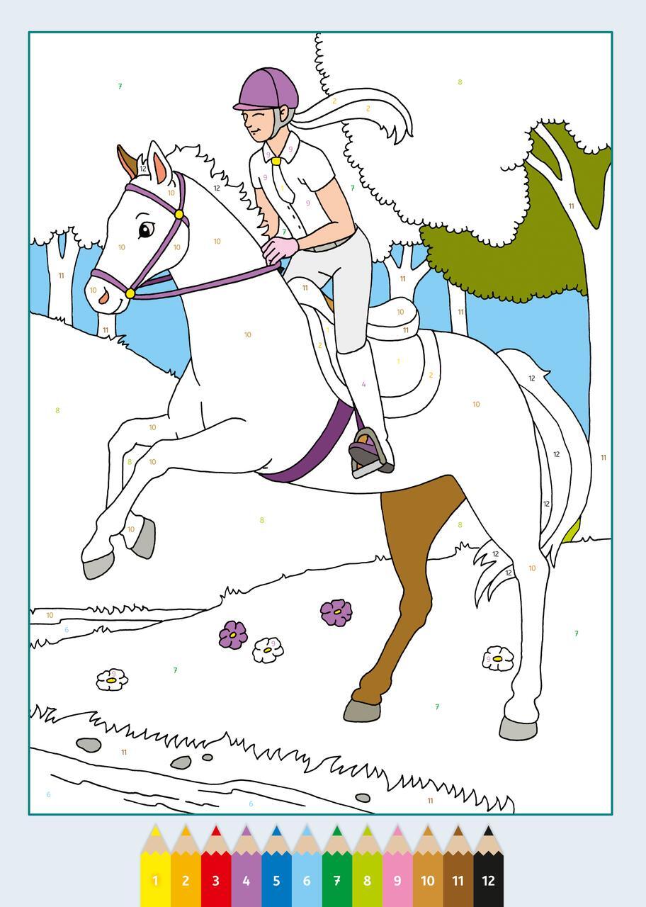 Thumbnail - Ravensburger Creart Malen Nach Zahlen Ab 5: Pferde, Malbuch, 24 Motive