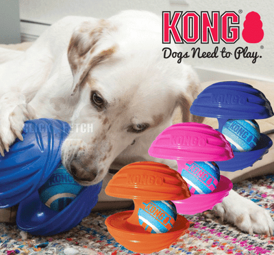 kong dogs need to play