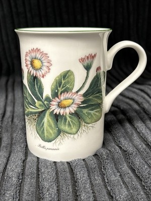 St. George Bellis Perennis Kirsty Jayne Fine Bone China Becher Made in England.
