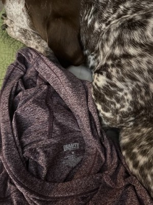 Duluth Trading Co The Plushcious Hoodie: Cozy Up in Double-Brushed Softness