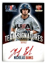 2014 Nicholas Banks Panini USA Baseball Rookie Red Ink Auto 18/25 - Nationals