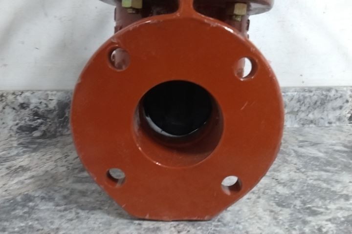 Watts OSY-RW-Gate 3" 3 In Nominal Valve Size 250 Max PSI Cast Iron Gate Valve