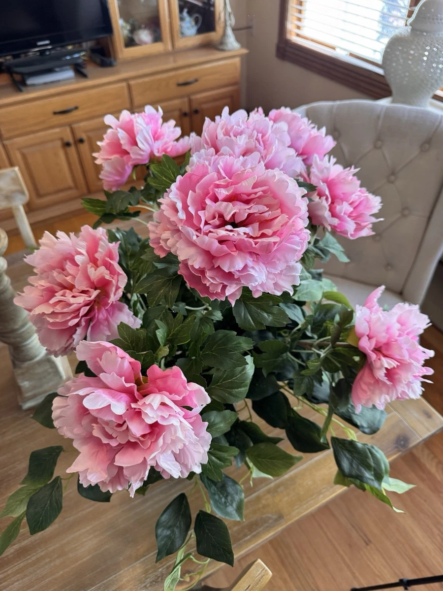 Peony products for sale | eBay