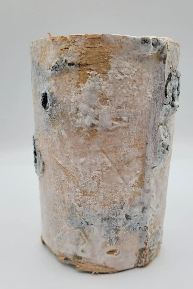 Vela pilar abedul pino blanco decoración madera Navidad invierno vela accesorio Foto 4 de 4