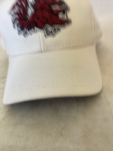 SC Cocks Zephyr South Carolina Gamecocks NCAA Hat Cap Fitted 7 3/8 - Picture 4 of 12